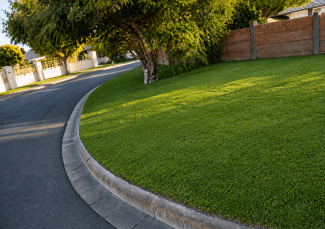Lawn Dressing Cape Town — Step 3 — Beautiful green result after treatment